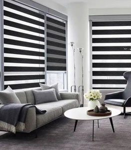 Zebra Blinds